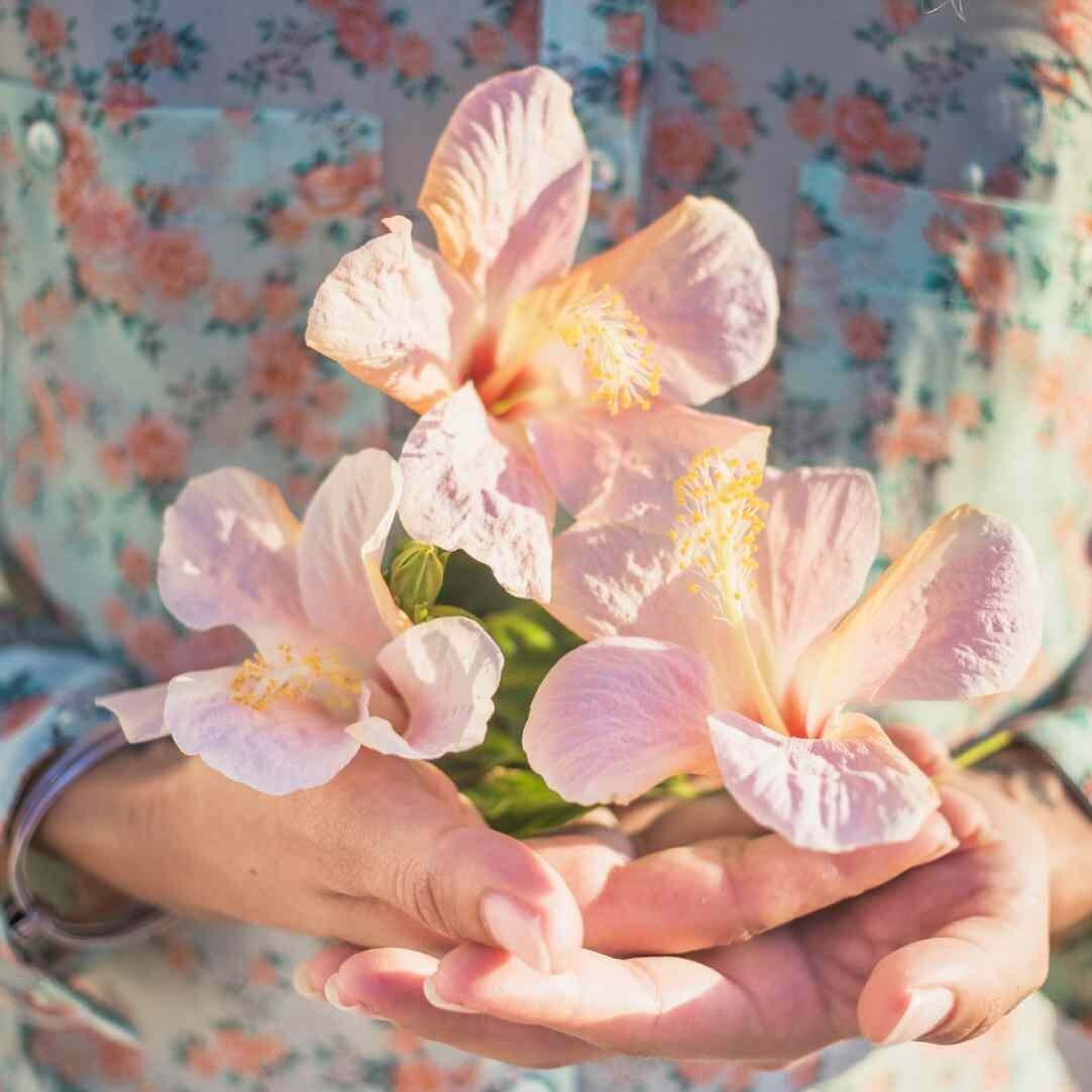 HONRAR LA COSECHA Despedimos el 2025